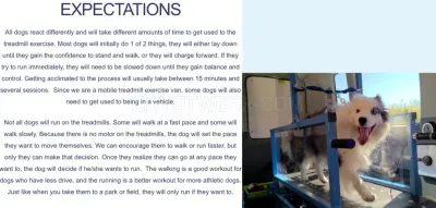 RUN DAWG Mobile Dog Gym photo
