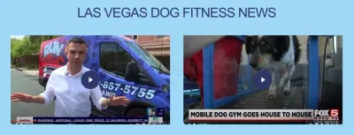 RUN DAWG Mobile Dog Gym photo