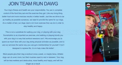 RUN DAWG Mobile Dog Gym photo