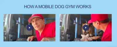 RUN DAWG Mobile Dog Gym photo
