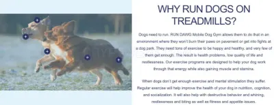 RUN DAWG Mobile Dog Gym photo