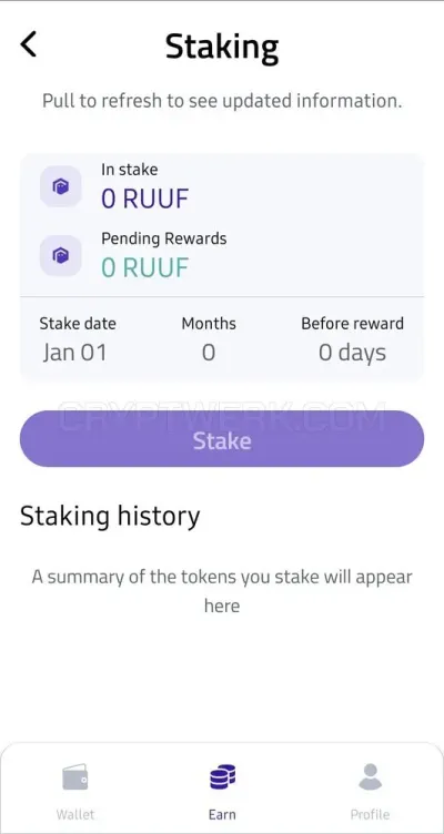 RuufPay photo
