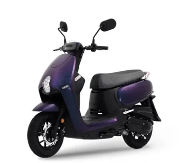 Samatha Bike Rent photo