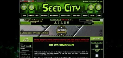 Seed City photo