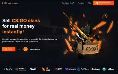 SellYourSkins photo