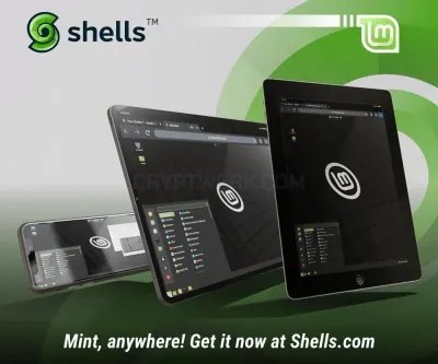 Shells photo