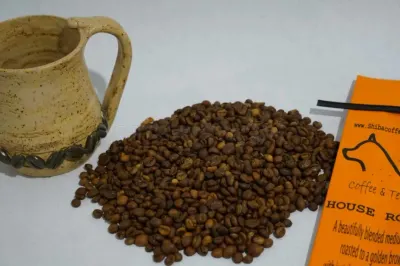 Shiba Coffee and Tea Co. photo