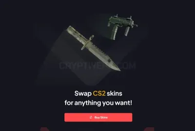 SkinSwap photo