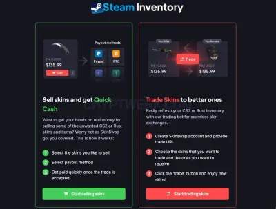 SkinSwap photo