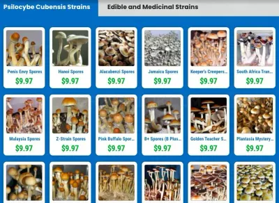 SporeStore.com photo