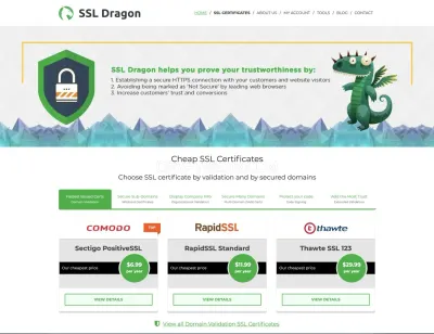 SSL Dragon photo