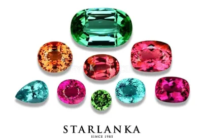 Star Lanka photo