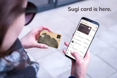 Sugi photo