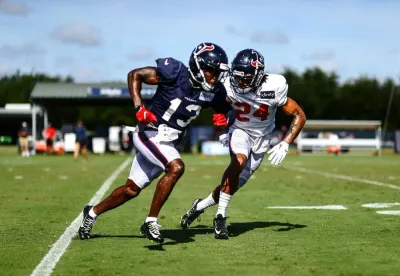 The Houston Texans photo