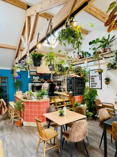 The Suffolk Jungle Room photo