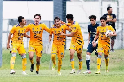Tigres UANL photo