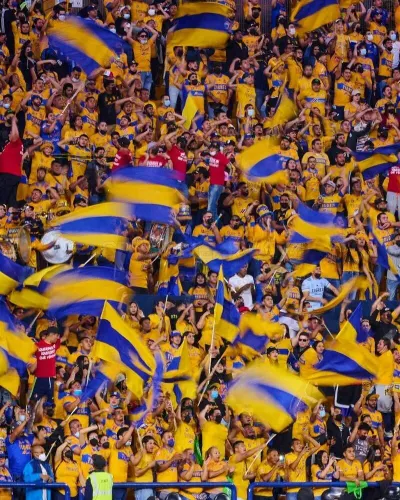 Tigres UANL photo