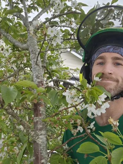 Photo Tree Nerd