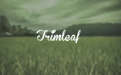 Trimleaf photo