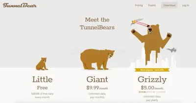 Tunnelbear.com photo