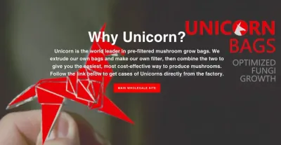 Unicorn Bags photo