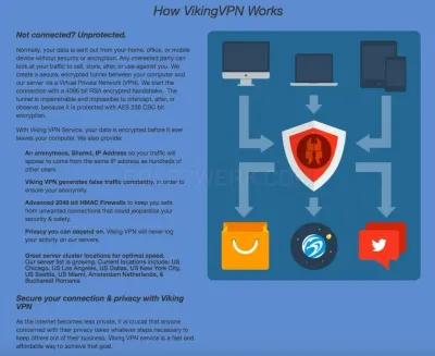 Vikingvpn.com photo