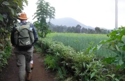 Virunga National Park photo