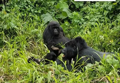 Virunga National Park photo