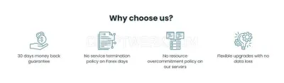 VPSForexTrader photo