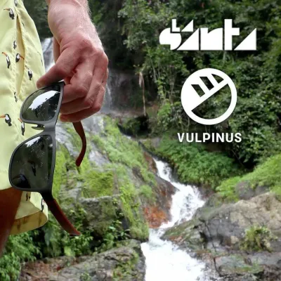 Vulpinus photo