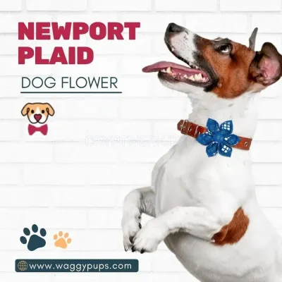 Waggy Pups photo