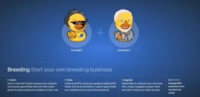 Waveducks photo