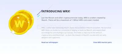 WazirX photo