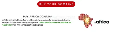 Web4Africa photo