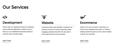 WebAlive photo