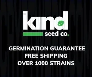 Kind Seed Co photo