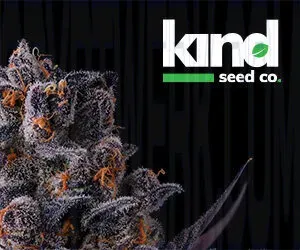 Kind Seed Co photo