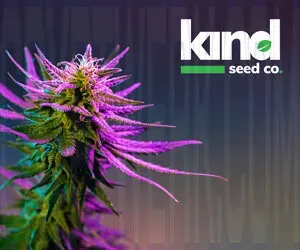 Kind Seed Co photo