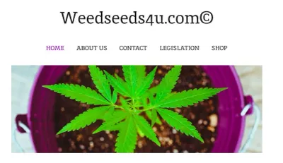 Weedseeds4u.info photo