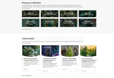 Weedseedsexpress photo