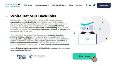 White Hat SEO Backlinks photo