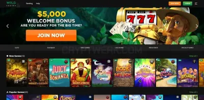 Wild Casino photo
