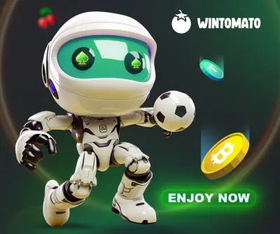 Wintomato photo