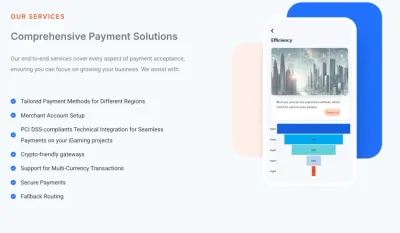 WiseAlt Payments Consulting photo