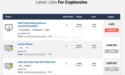 Workingforbitcoins.com photo