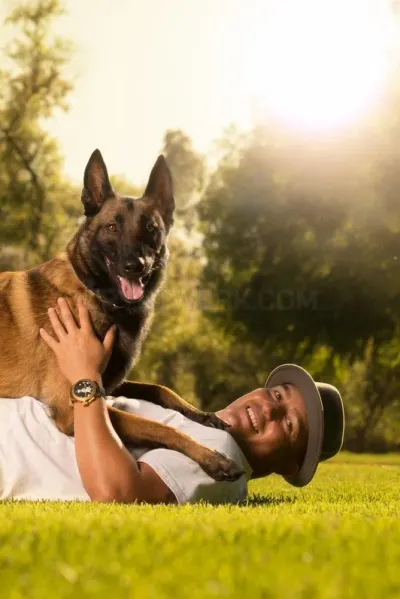 World Of Dog Training photo