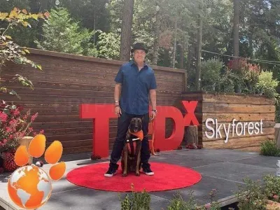 World Of Dog Training photo