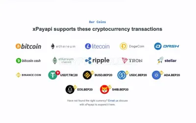 xPayApi photo