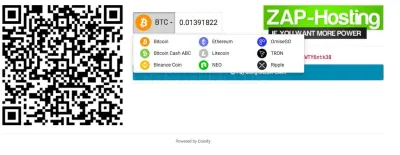 Zap-hosting.com photo