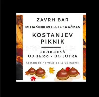 Zavrh bar photo
